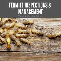 Dedant Building and Pest Inspections Gold Coast image 3